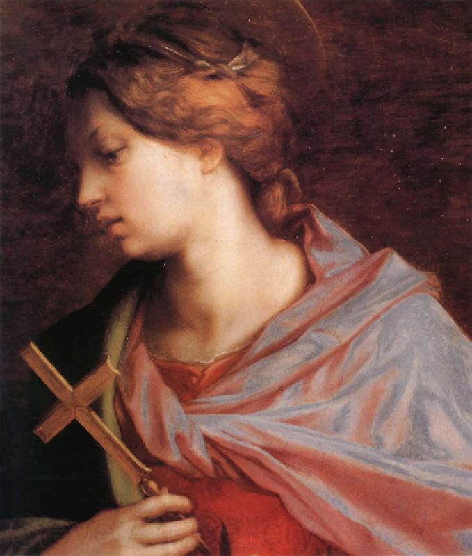 Andrea del Sarto Portrait of Altar Norge oil painting art